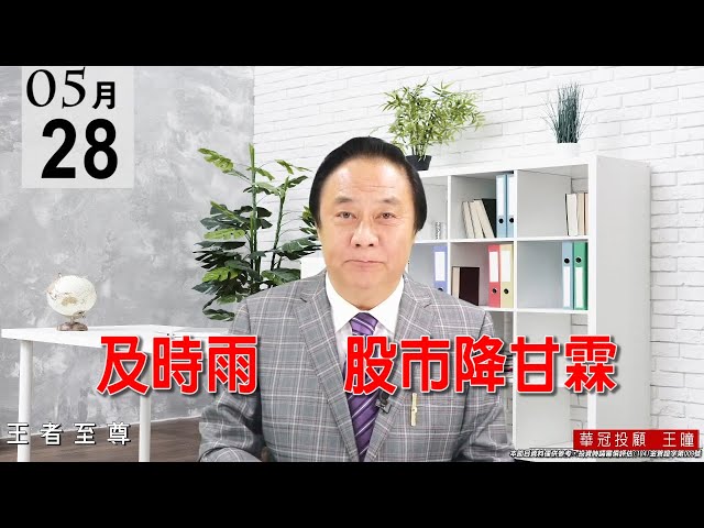 20210528《及時雨   股市降甘霖》 #王曈 #王者至尊