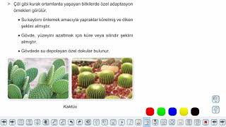 Eğitim Vadisi 9.Sınıf Biyoloji 15.Föy Protistler, Bitkiler ve Mantarlar Konu Anlatım Videoları