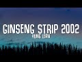 Yung Lean - Ginseng Strip 2002 (Lyrics) "bitches come and go brah" TikTok Song