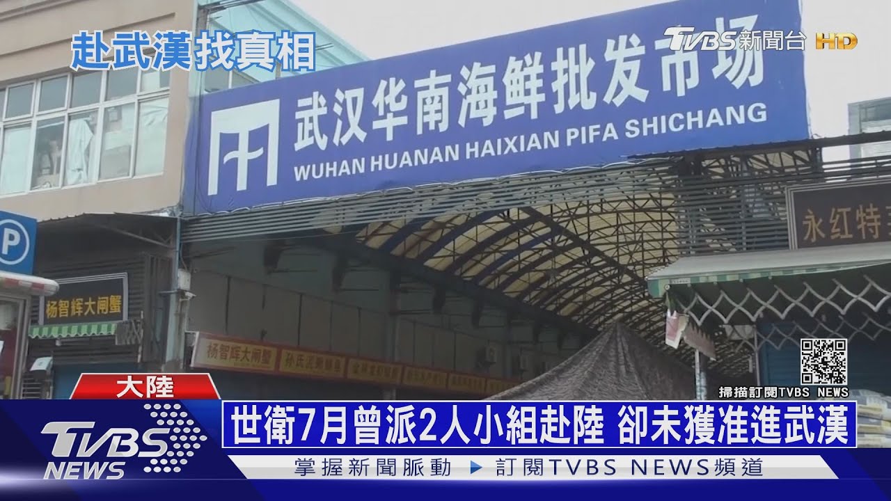 WHO將赴陸調查源頭 武漢民眾:沒什麼好怕