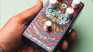 Video thumbnail for Catalinbread Montavillian Echo | CME Gear Demo | Nathaniel Murphy by Chicago Music Exchange