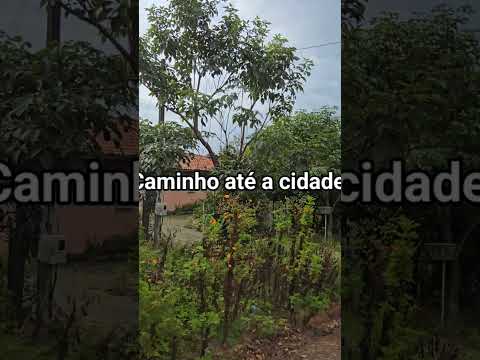 CHÁCARA PANORÂMICA CASA 4 QUARTOS TERRA ROXA MUITA FRUTA E LAVOURA R$ 250 MIL - Código: 2619