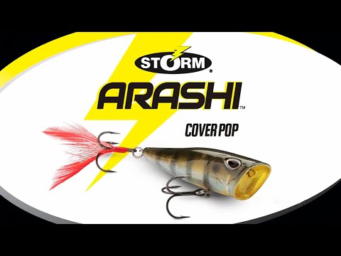 Vídeo Isca Storm Arashi Cover Pop