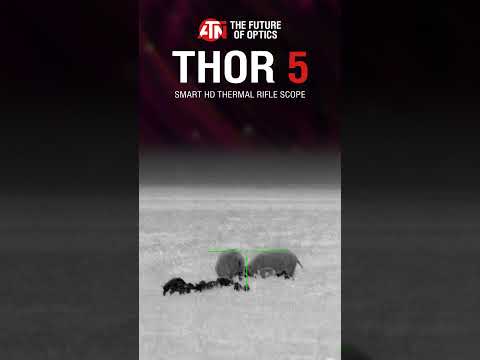 Thor 5: See Clearly, Shoot Confidently!