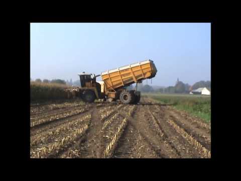 Loonw. Agriservice - Molenbaix