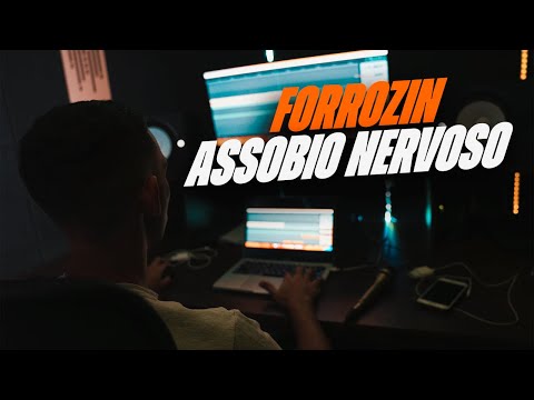 PASSAGEM DE SOM 2K24 - FORROZINHO ASSOBIO NERVOSO (INSTRUMENTAL PRA PAREDÃO)