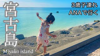 【宮古島2024】3歳娘&ばーばの3世代旅行｜ANAで行く｜真っ青な離島ビーチに大興奮｜コスパ最高ホテル「Hotel Locus」