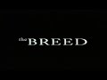 THE BREED 2001 VHS Movie Trailers Previews VHS Rip Digitization From THE FORSAKEN 2000s Y2K