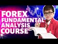 Ultimate Forex Fundamental Analysis Trading Course