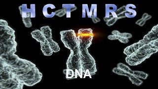 How Creationism Taught Me Real Science 18 DNA