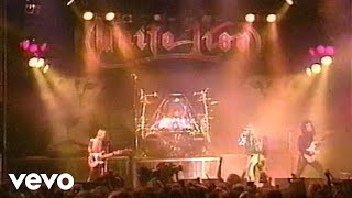 White Lion - Hungry