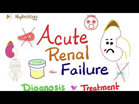 Acute Renal Failure (ARF) - Azotemia - Acute Kidney Injury (AKI) -Diagnosis & Treatment