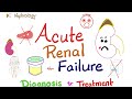 Acute Renal Failure ARF Azotemia Acute Kidney Injury AKI Diagnosis Treatment