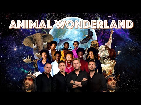 DJ Cummerbund - Animal Wonderland