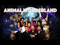 DJ Cummerbund Animal Wonderland