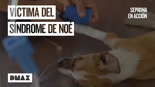 Thumbnail del capítulo