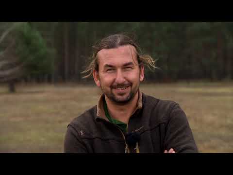 Gasztroangyal 2. rész – Nagybajom (2019)