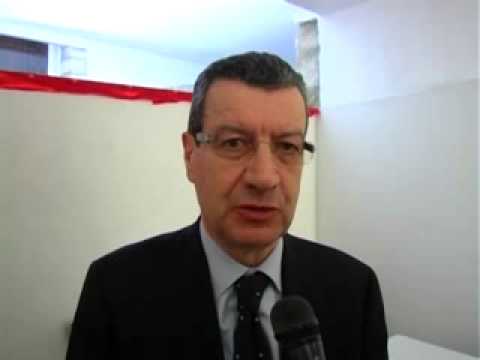 ONDA TG 7.02.2013 - VANNINO CHITI VICE PRESIDENTE SENATO