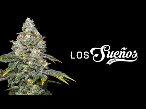 One of the World's Biggest Outdoor Cannabis Farm: Canna Cribs Episode 4 - Los Sueños Farms