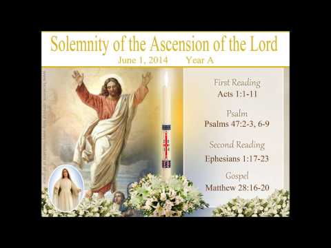 Homily: The Cause of Our Hope (Ascension Sunday Year A 2014)