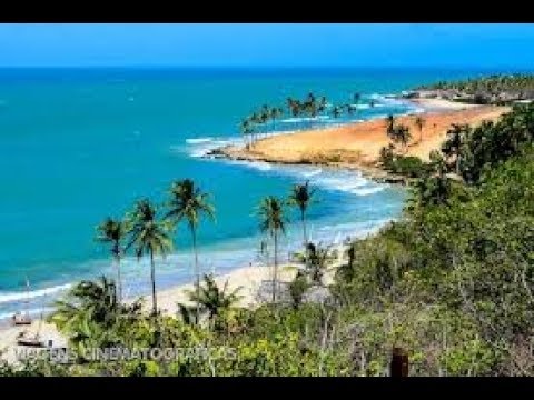 Alex Balogh - minhas musicas  volume 1