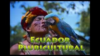 Video de la Pluriculturalidad