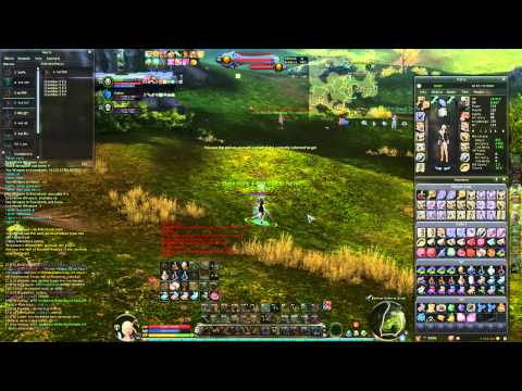 [Aion 4.5 - Steel Cavalry]  PvP at Danaria