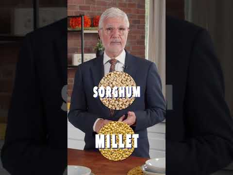 STOP eating the WRONG Grains "Yes" & "No" list