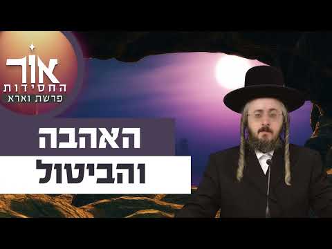 אור החסידות - פרשת וארא