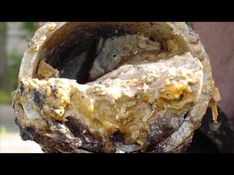 Keep FOG out of the pipes. Fats, Oils, and Grease causes sewer backups.