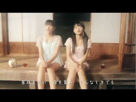 『キャベツ白書』 フルPV　（ピーベリー #helloproject ）