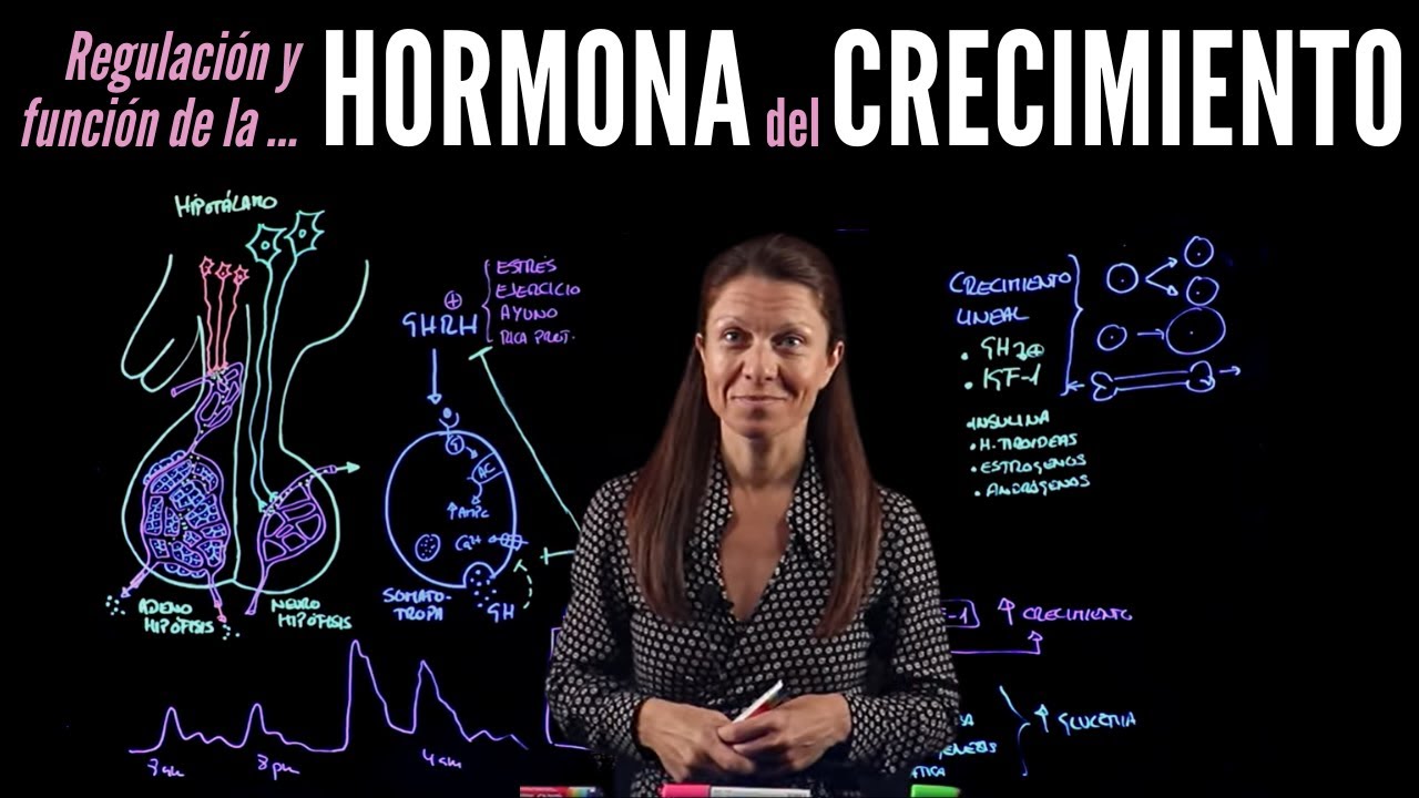 Fisiología endocrina II: Hormonas del crecimiento