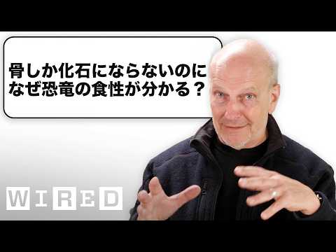 古生物學者だけど「化石」について質問ある？ (古生物学者だけど「化石」について質問ある？| Tech Support | WIRED Japan)