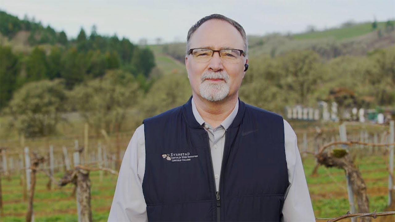 Climate change's affect on the wine industry