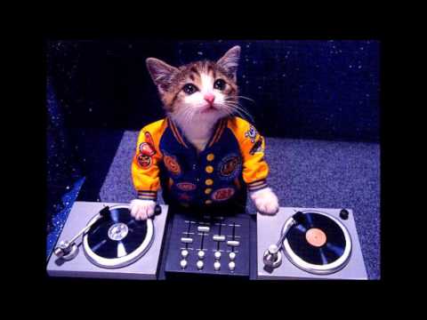 Mezclaporquesi! | Skrillex vs Swedish House Mafia