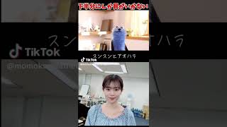 どっちが可愛いですか?#青原桃香 #アナウンサー #tiktok