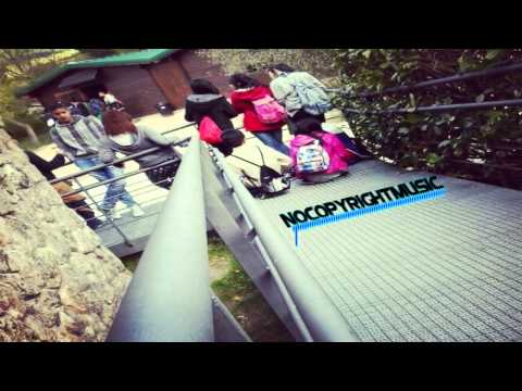 [NoCopyrightMusic] Linkin Park - Numb ( Jamie Vlahos Bootleg )