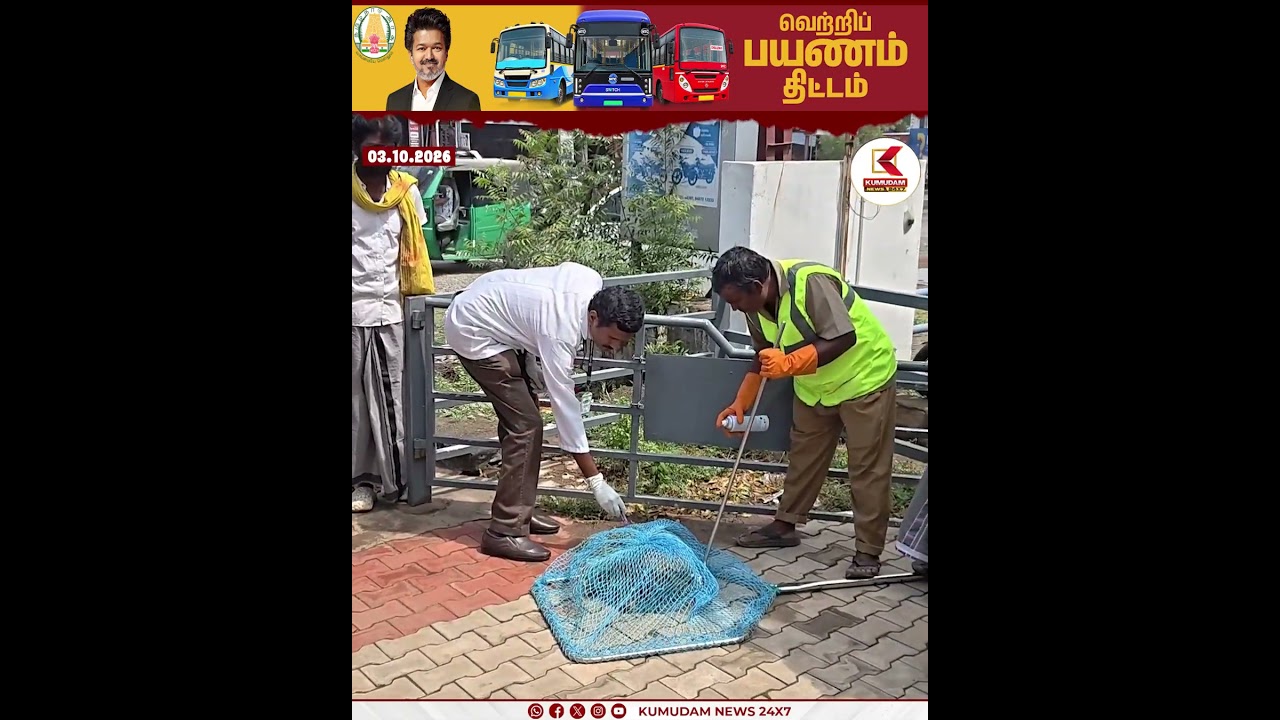 தொடரும் தெருநாய்களின் தொல்லை நெல்லையில் நடந்த சிறப்பான சம்பவம் | Tirunelveli | Kumudam News