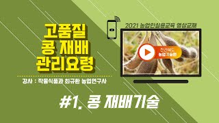 [ 고품질 다수확 콩 재배기술 ] part 1. 콩 재배기술