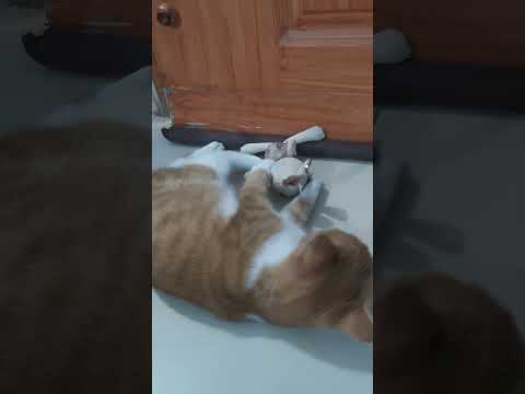 Angry little man 😂😂😂