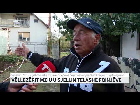 VËLLEZËRIT MZIU U SJELLIN TELASHE FQINJËVE | T7