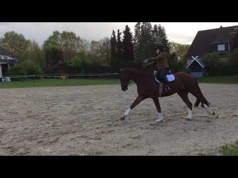 Foundation/Donnerhall *2013, Wallach