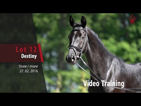 No 12 Destiny v. Danciano - Abendtanz_Trainingsvideo