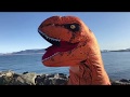 Dino Dance