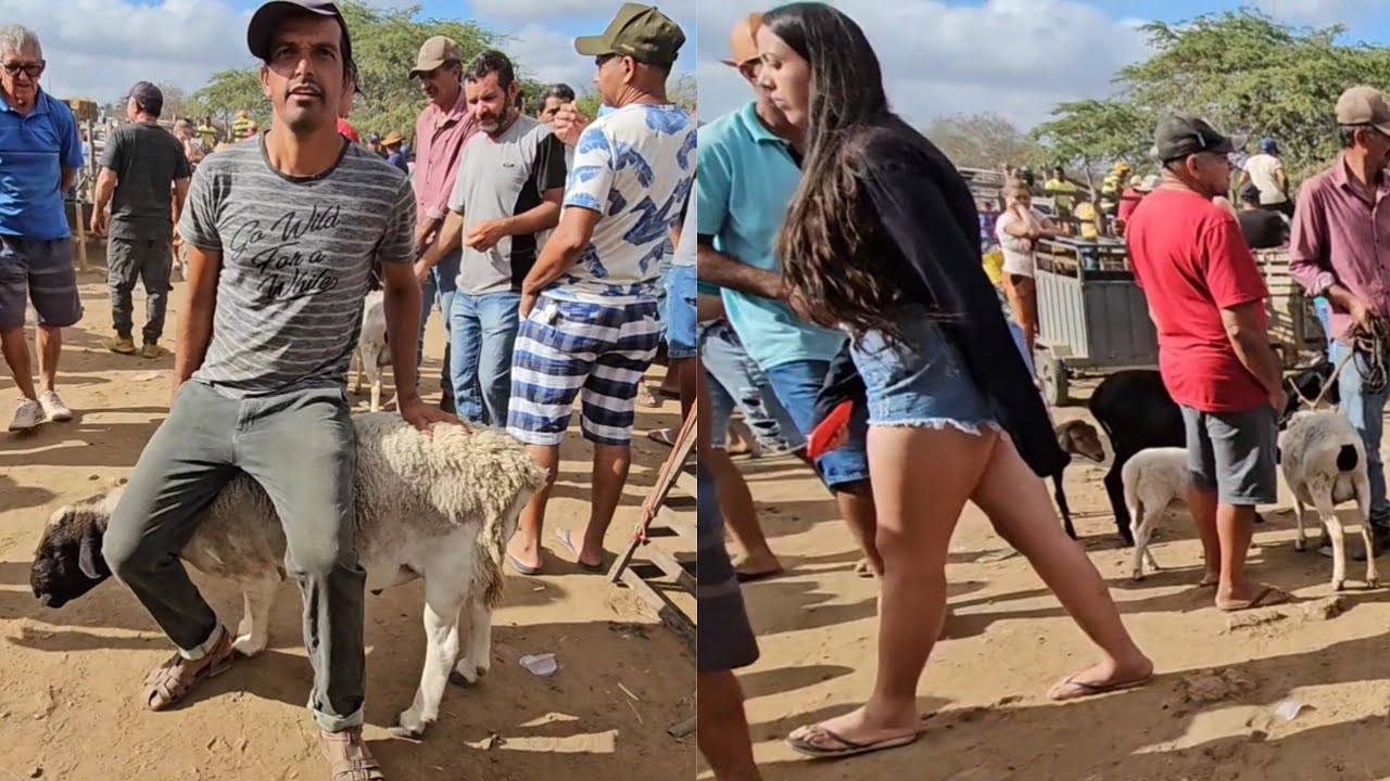 FEIRA DO DIA 10/11/2024 NA VILA JERIMUM COMPLETAMENTE LOTADA A MELHOR DA REGIÃO