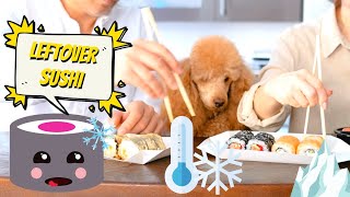 Can sushi be frozen? This is what happens to sushi