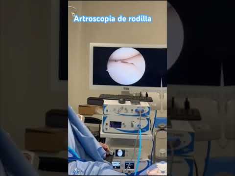 Rodrigo Alamilla López-18