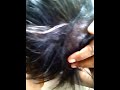 Wen - Shampoo Review from Port-Of-Spain, Port-Of-Spain