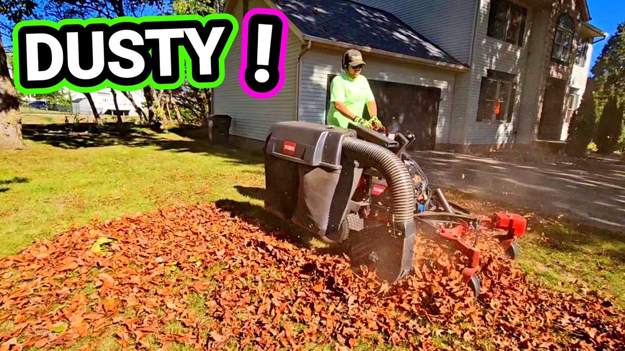 HOW TO DO A FALL CLEAN UP | START TO FINISH!
