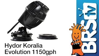 Hydor Koralia Evolution 1150GPH Flow Dynamics 